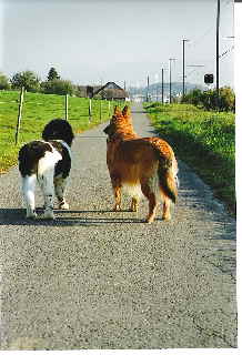 Kaja-Enkelkind von Mädy Kaja-Enkelkind von Mädy