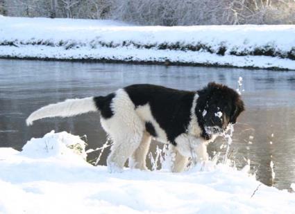 Schnee finde ich toll.