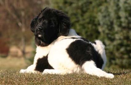 Meine ganze Schnheit ;-)