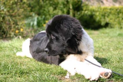 Wer strt mich denn jetzt?